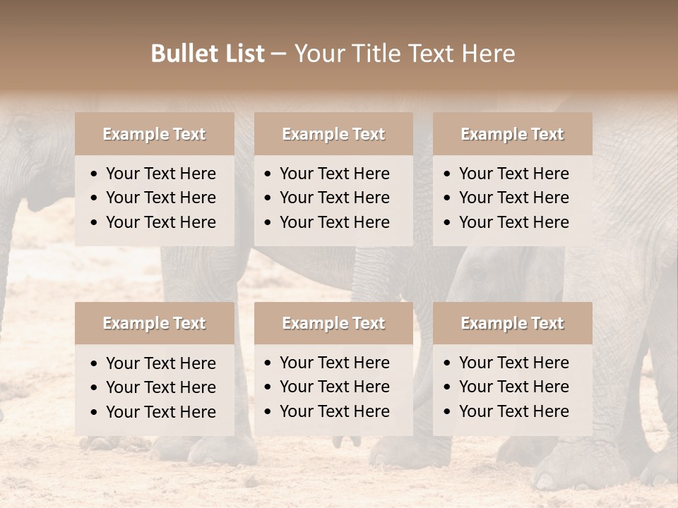 A Group Of Elephants Standing Next To Each Other PowerPoint Template