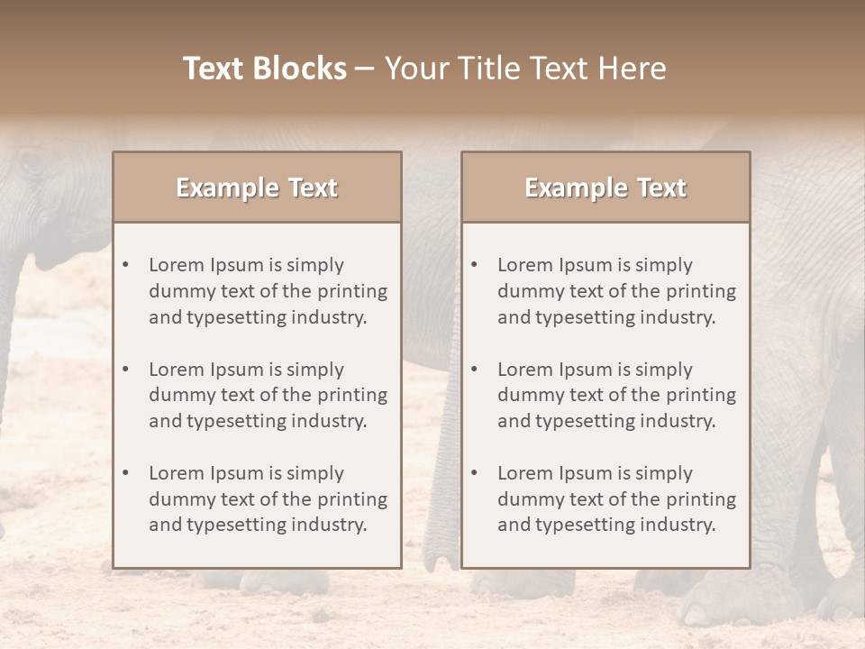 A Group Of Elephants Standing Next To Each Other PowerPoint Template