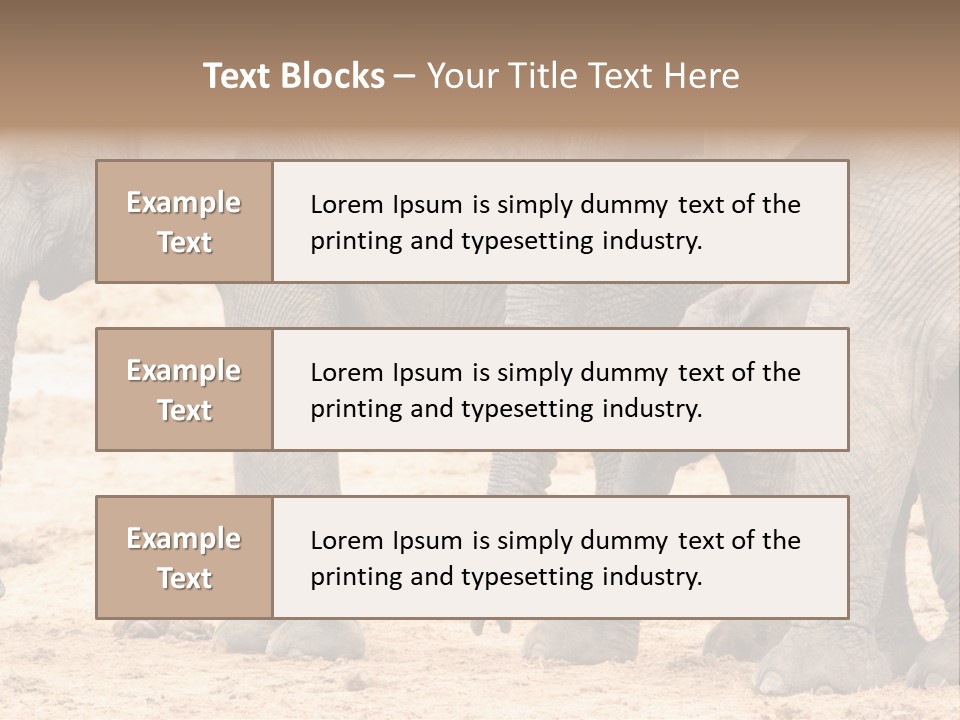 A Group Of Elephants Standing Next To Each Other PowerPoint Template