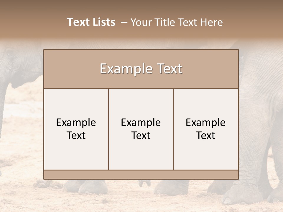 A Group Of Elephants Standing Next To Each Other PowerPoint Template