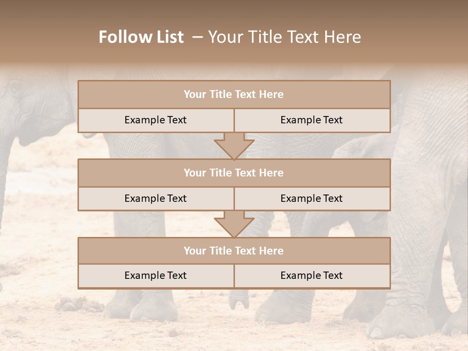 A Group Of Elephants Standing Next To Each Other PowerPoint Template