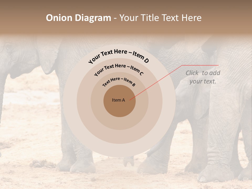 A Group Of Elephants Standing Next To Each Other PowerPoint Template