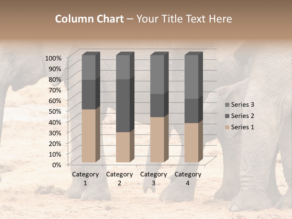 A Group Of Elephants Standing Next To Each Other PowerPoint Template