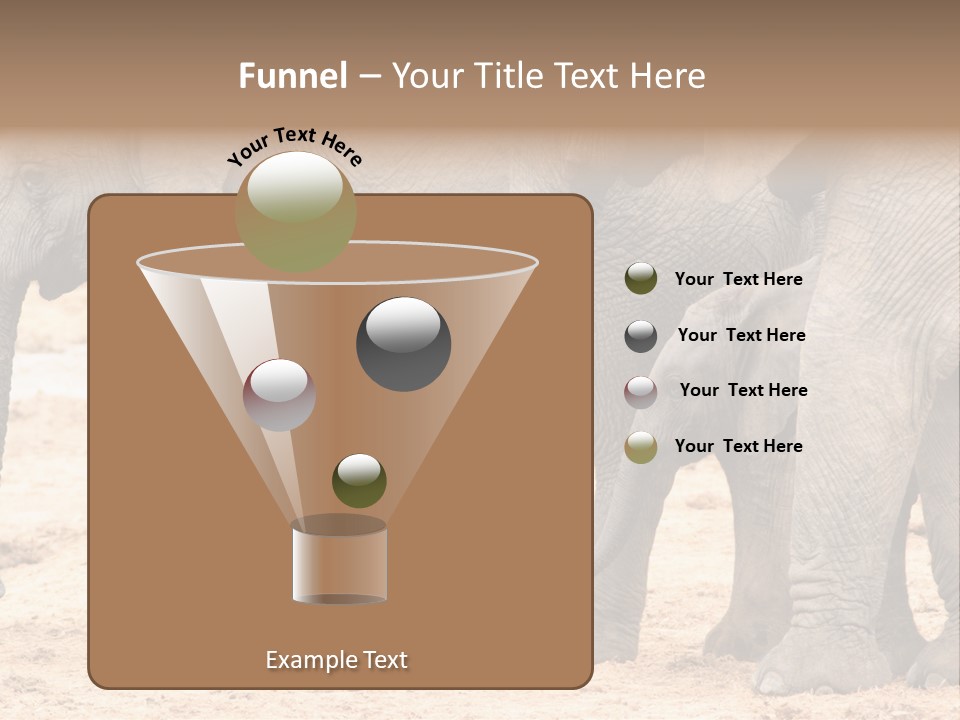 A Group Of Elephants Standing Next To Each Other PowerPoint Template