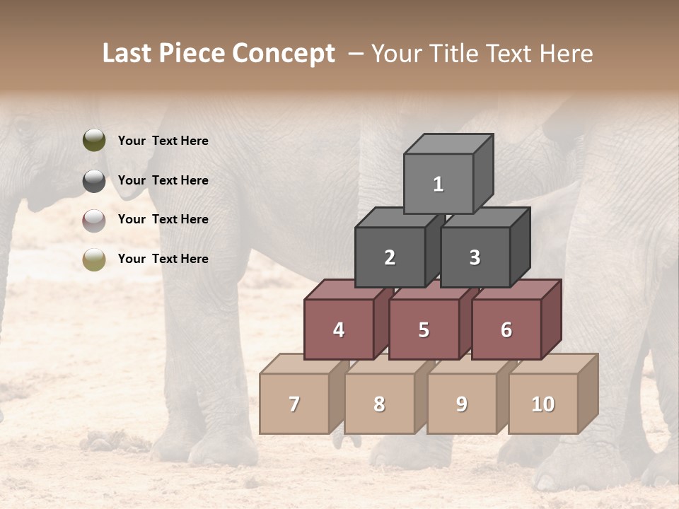 A Group Of Elephants Standing Next To Each Other PowerPoint Template