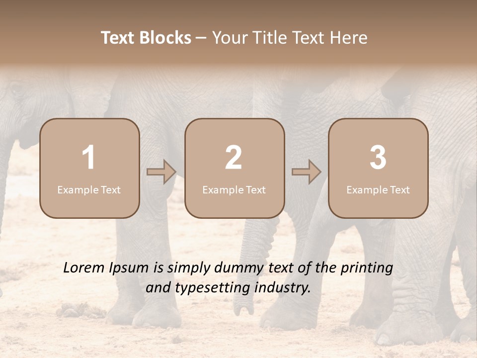 A Group Of Elephants Standing Next To Each Other PowerPoint Template