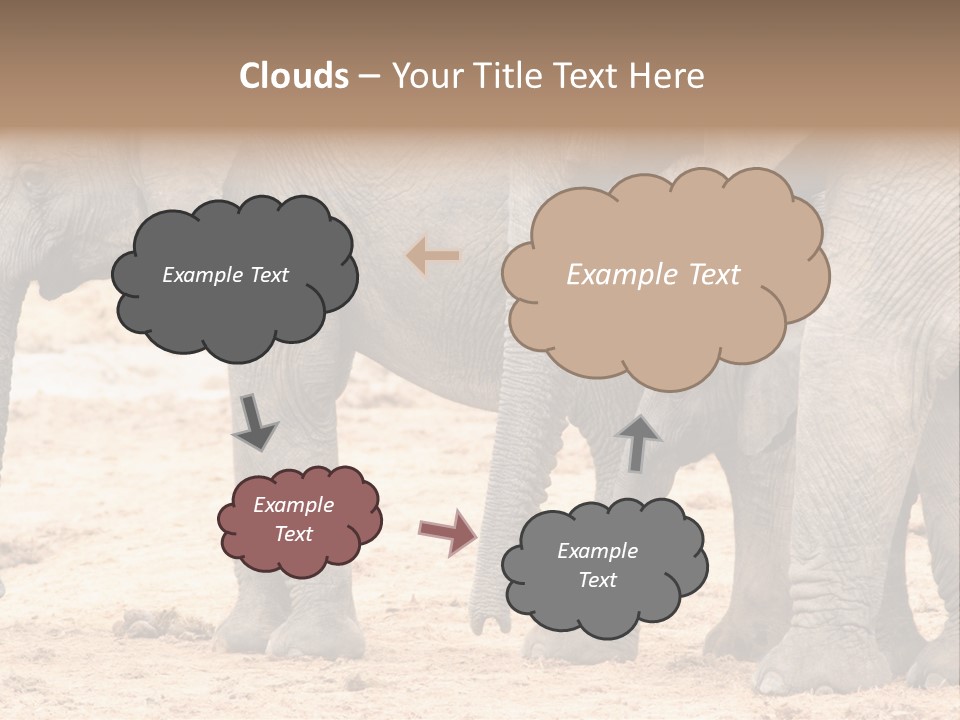 A Group Of Elephants Standing Next To Each Other PowerPoint Template