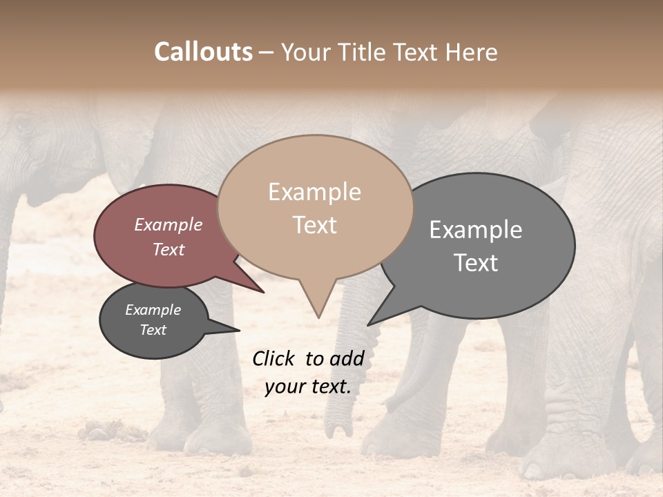 A Group Of Elephants Standing Next To Each Other PowerPoint Template