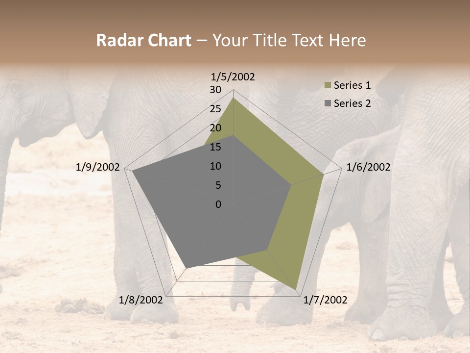 A Group Of Elephants Standing Next To Each Other PowerPoint Template