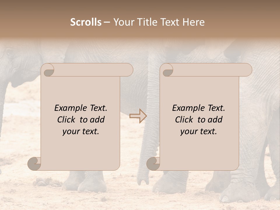 A Group Of Elephants Standing Next To Each Other PowerPoint Template