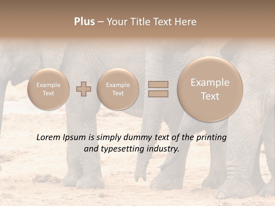 A Group Of Elephants Standing Next To Each Other PowerPoint Template