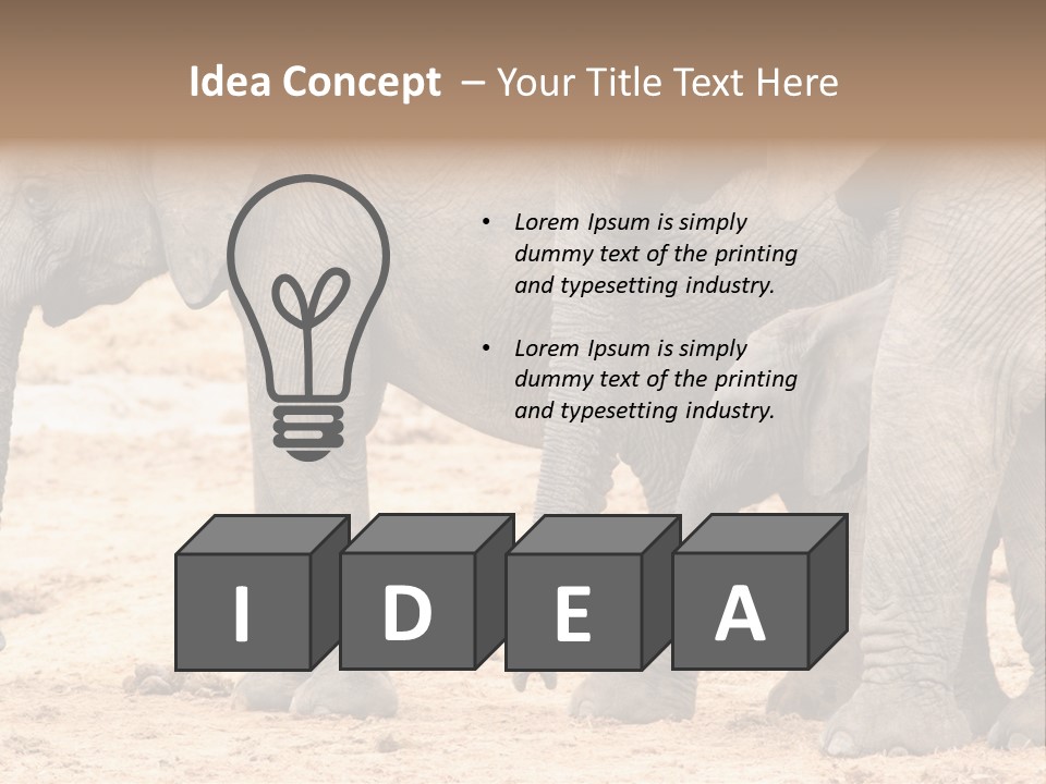 A Group Of Elephants Standing Next To Each Other PowerPoint Template