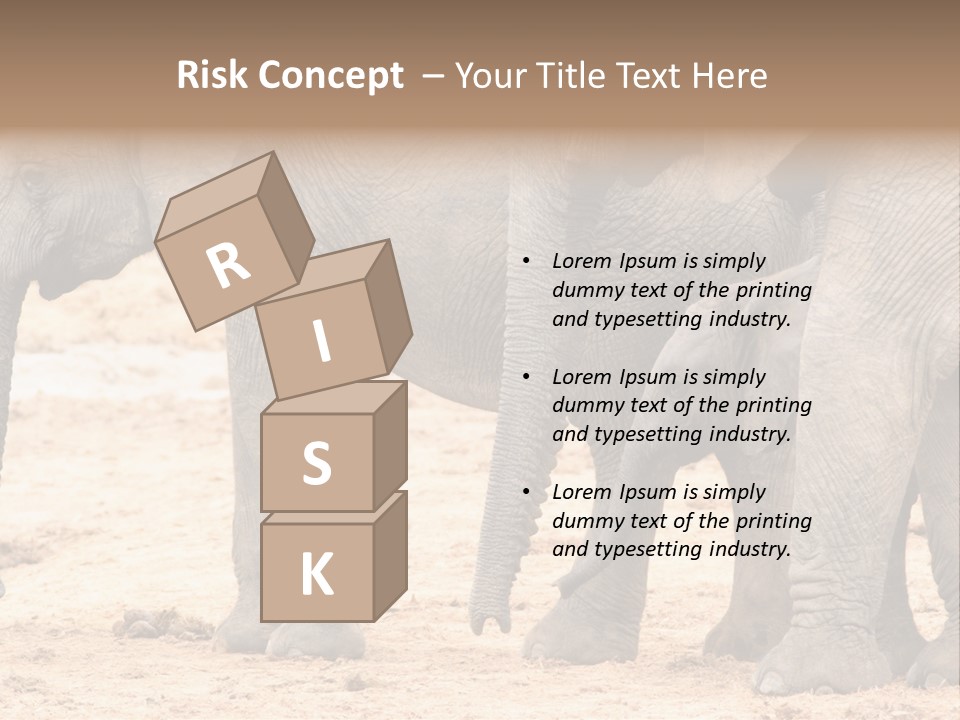 A Group Of Elephants Standing Next To Each Other PowerPoint Template