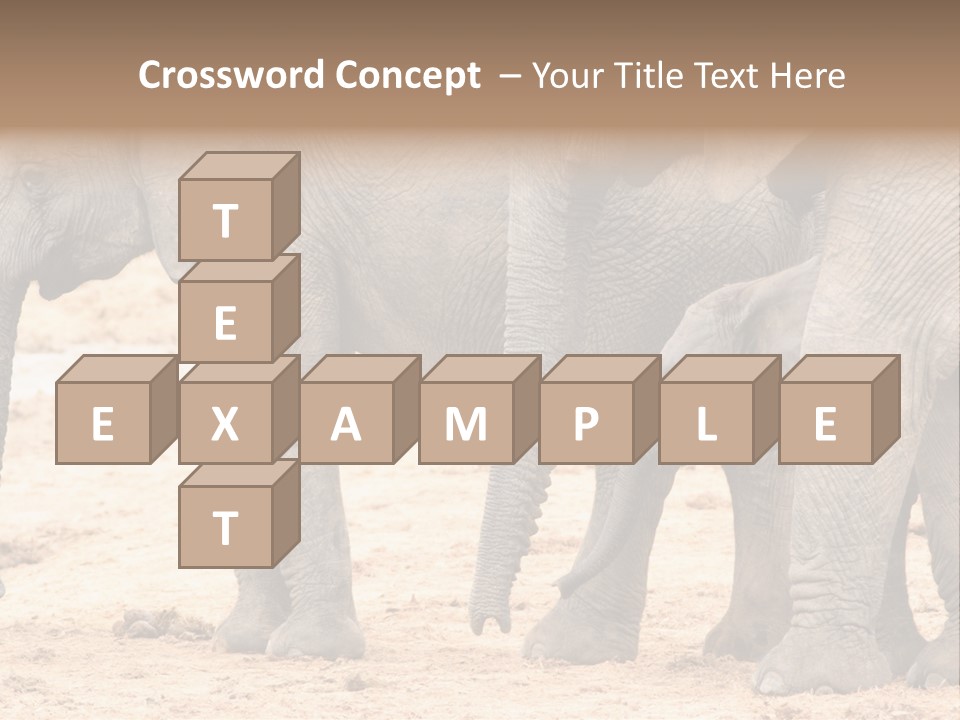 A Group Of Elephants Standing Next To Each Other PowerPoint Template