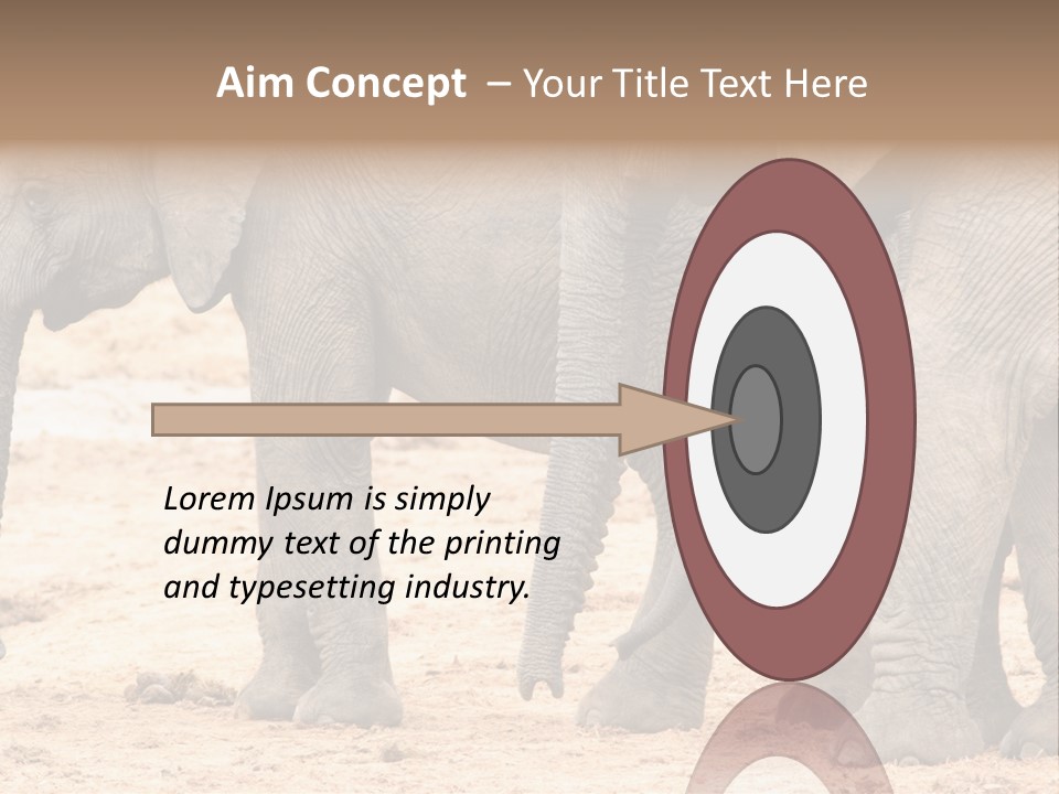 A Group Of Elephants Standing Next To Each Other PowerPoint Template