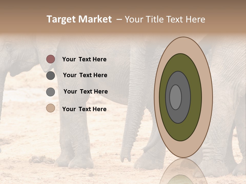 A Group Of Elephants Standing Next To Each Other PowerPoint Template