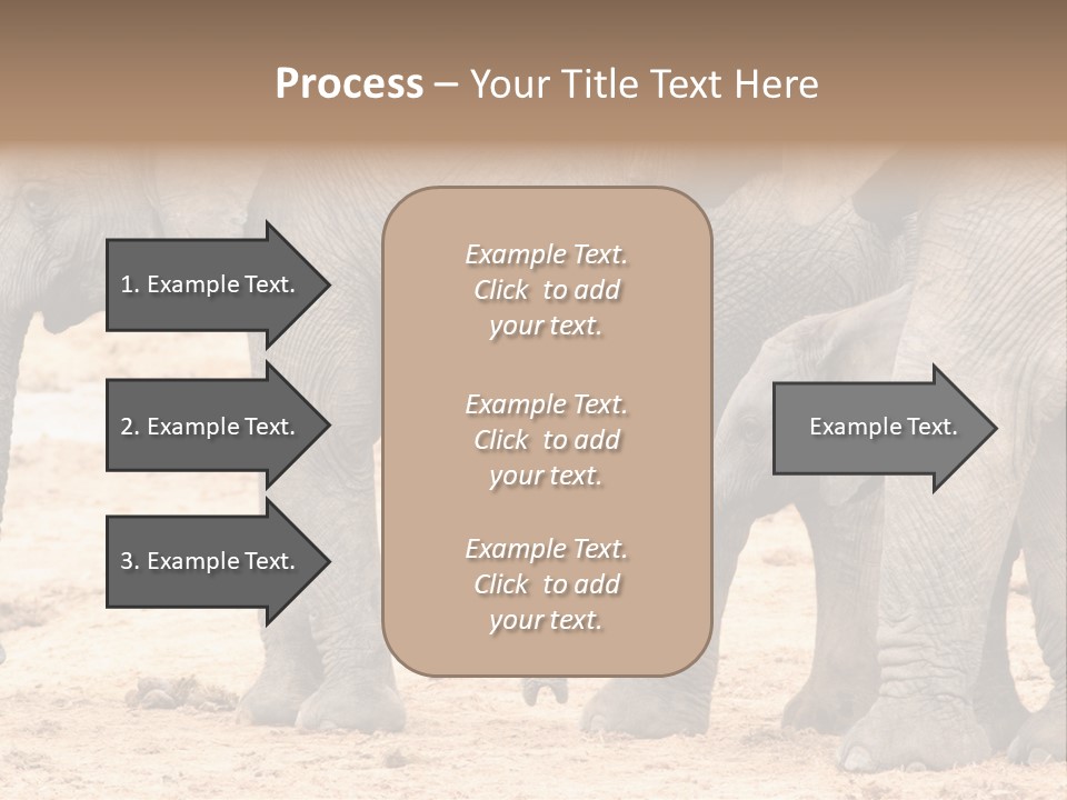 A Group Of Elephants Standing Next To Each Other PowerPoint Template
