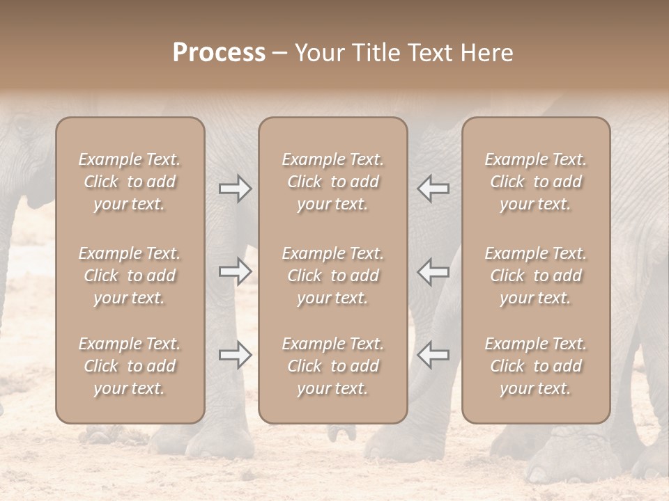 A Group Of Elephants Standing Next To Each Other PowerPoint Template