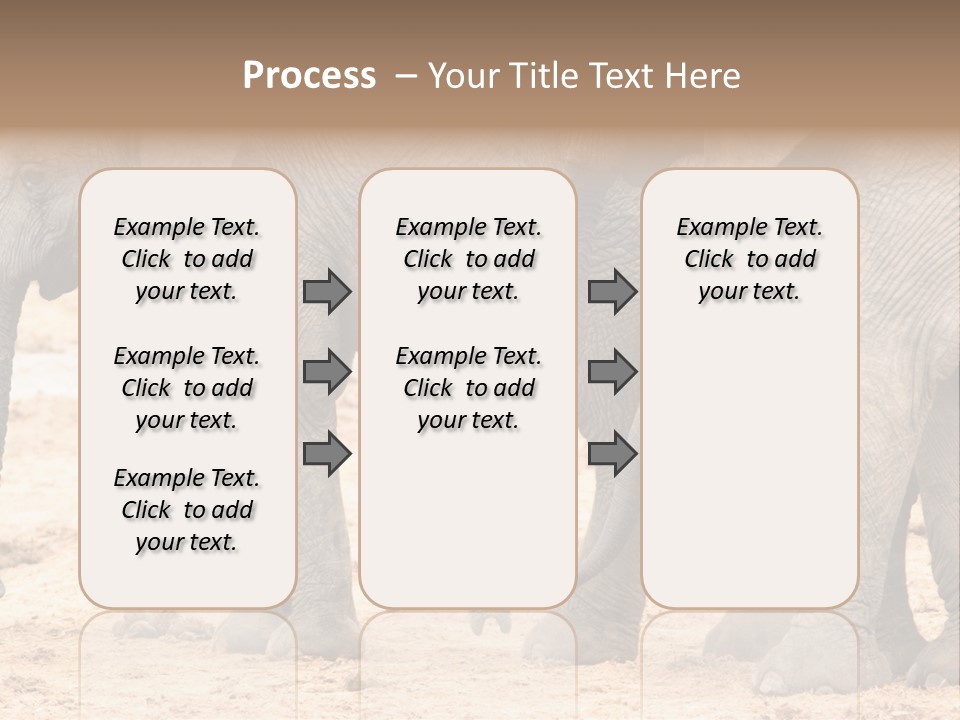 A Group Of Elephants Standing Next To Each Other PowerPoint Template