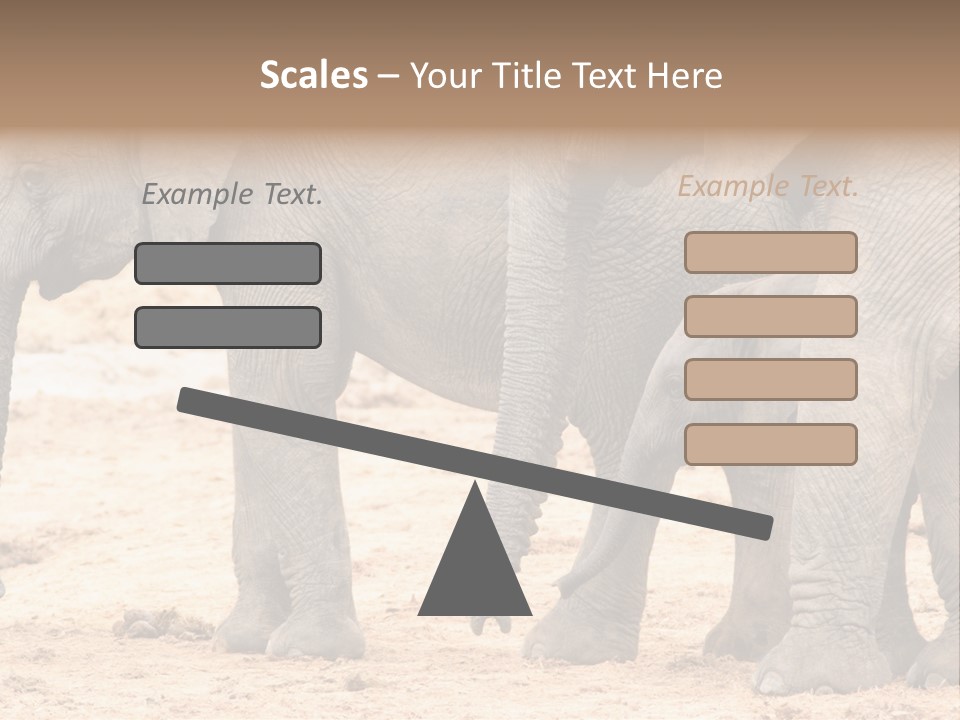 A Group Of Elephants Standing Next To Each Other PowerPoint Template