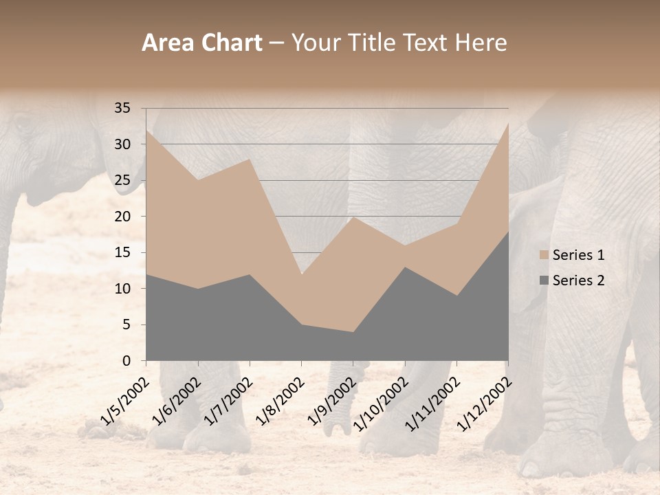 A Group Of Elephants Standing Next To Each Other PowerPoint Template