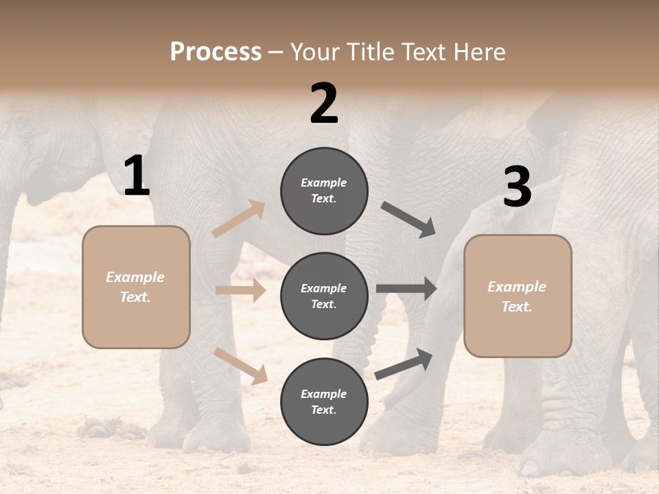 A Group Of Elephants Standing Next To Each Other PowerPoint Template
