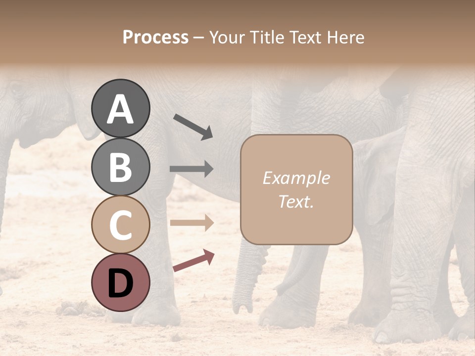 A Group Of Elephants Standing Next To Each Other PowerPoint Template