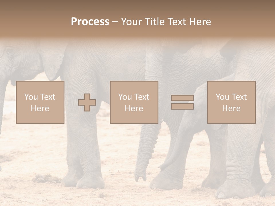 A Group Of Elephants Standing Next To Each Other PowerPoint Template