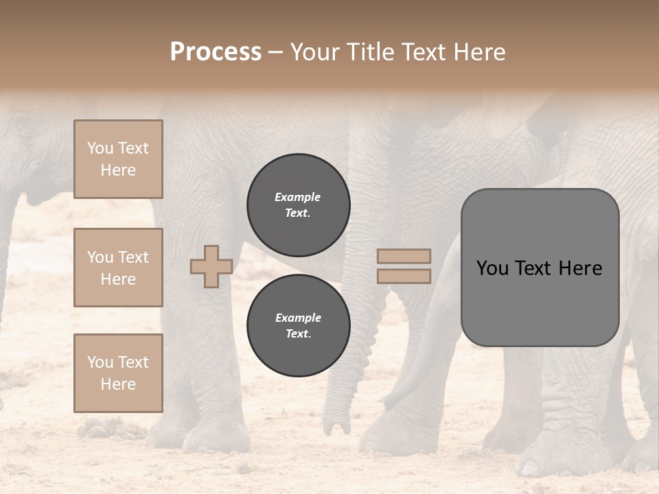 A Group Of Elephants Standing Next To Each Other PowerPoint Template
