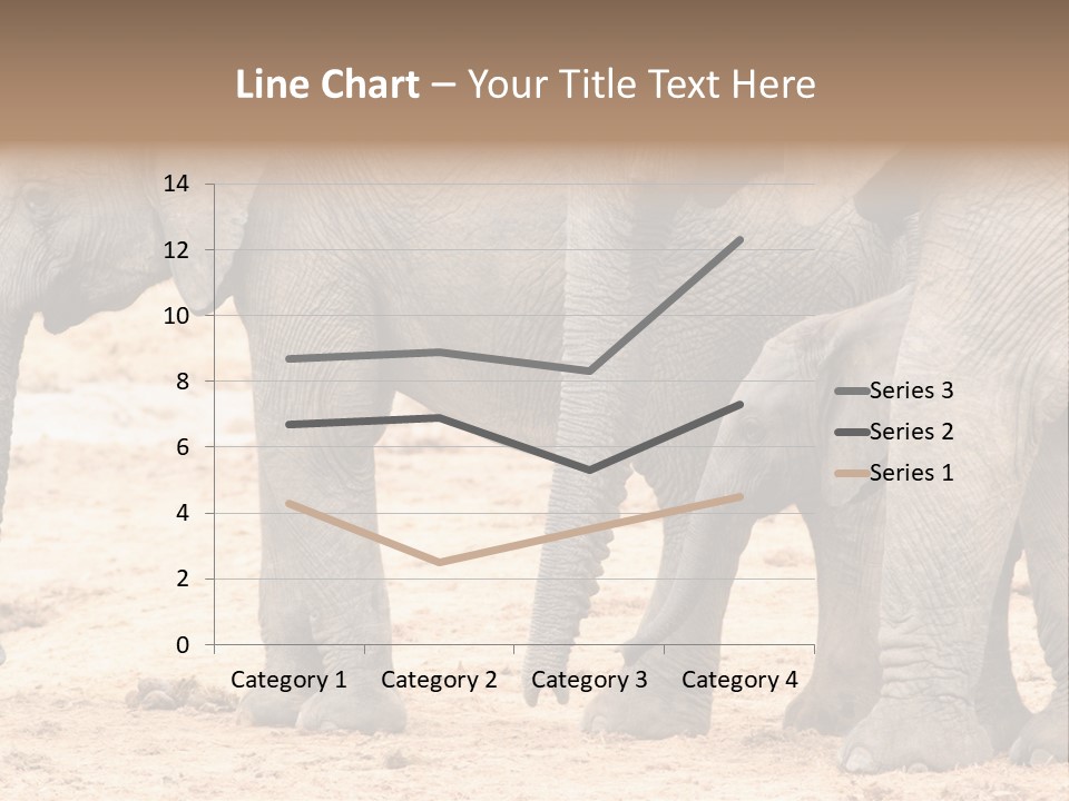 A Group Of Elephants Standing Next To Each Other PowerPoint Template