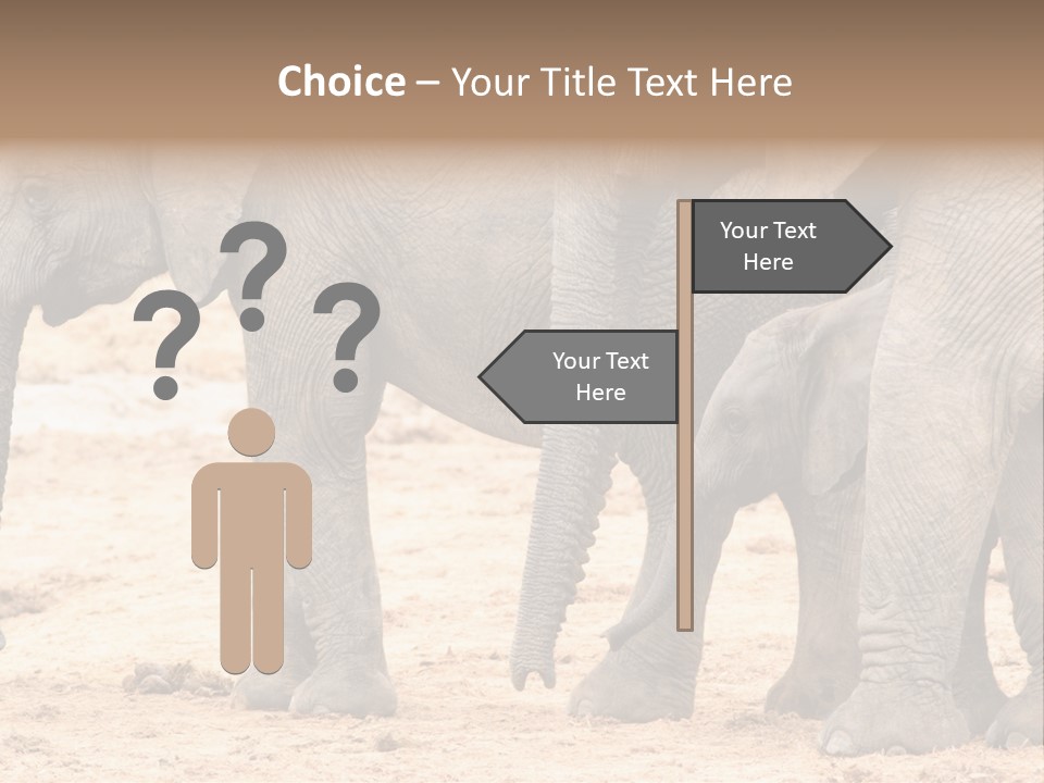 A Group Of Elephants Standing Next To Each Other PowerPoint Template