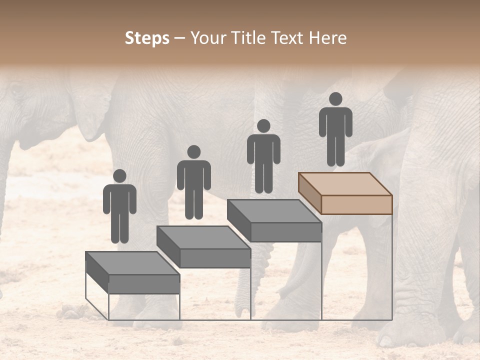A Group Of Elephants Standing Next To Each Other PowerPoint Template