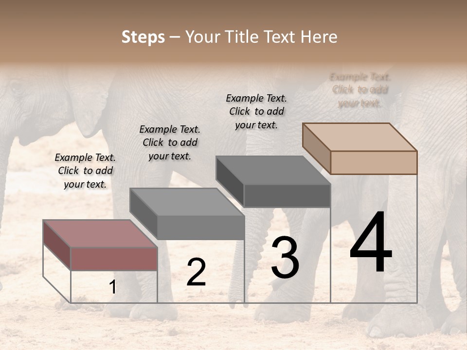 A Group Of Elephants Standing Next To Each Other PowerPoint Template