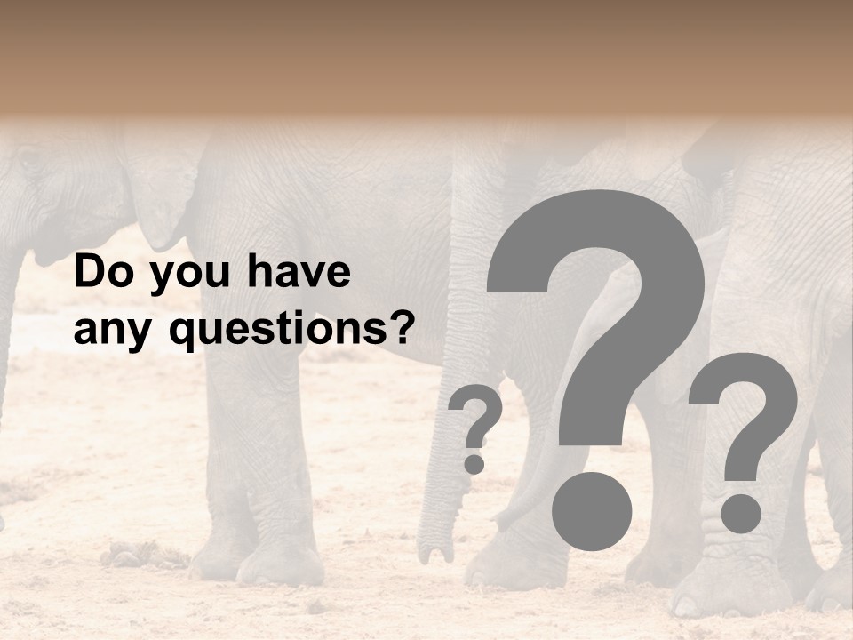 A Group Of Elephants Standing Next To Each Other PowerPoint Template