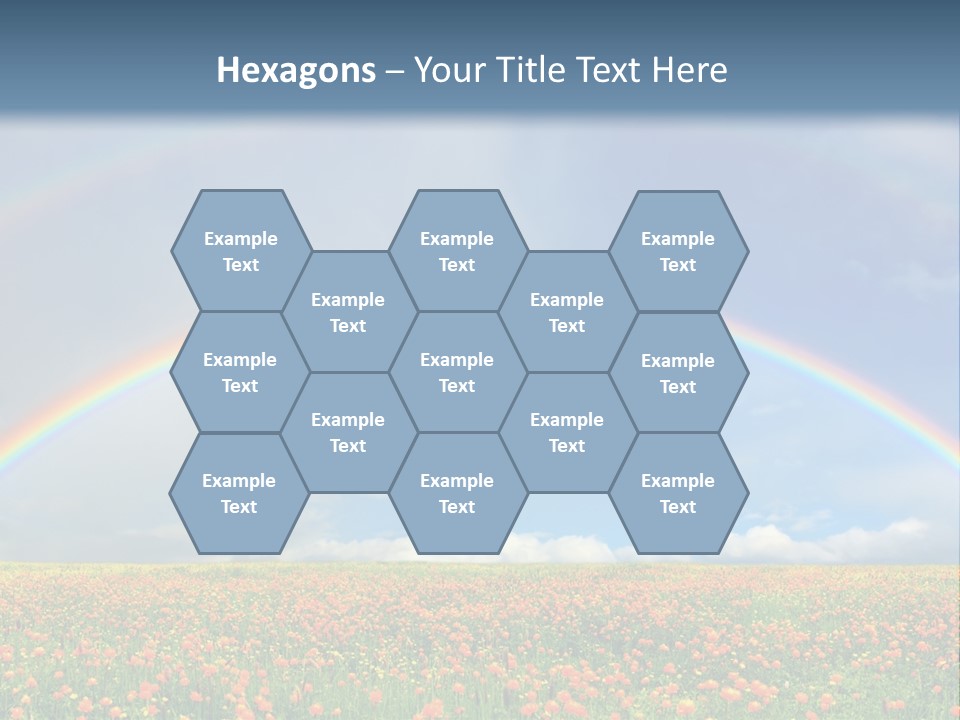 A Rainbow In The Sky Over A Field Of Flowers PowerPoint Template