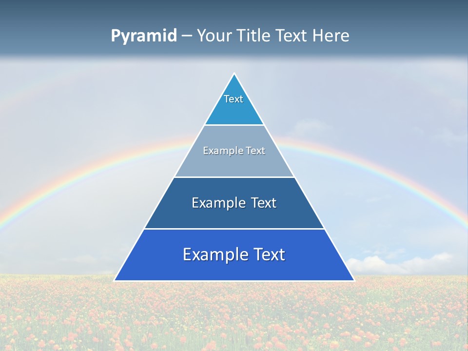 A Rainbow In The Sky Over A Field Of Flowers PowerPoint Template
