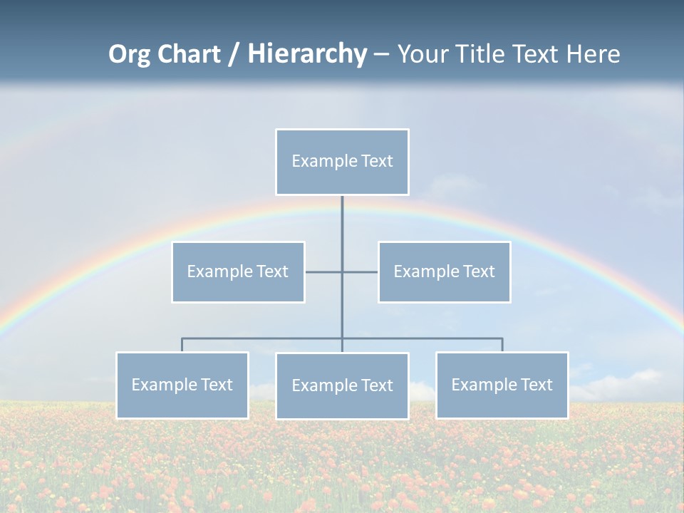 A Rainbow In The Sky Over A Field Of Flowers PowerPoint Template