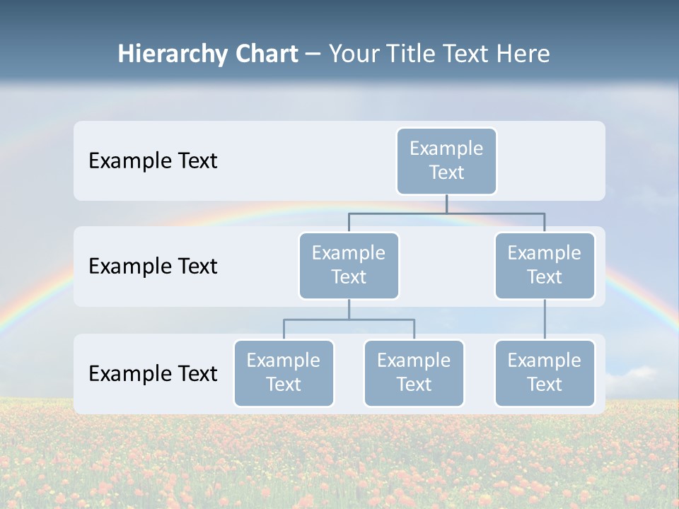 A Rainbow In The Sky Over A Field Of Flowers PowerPoint Template