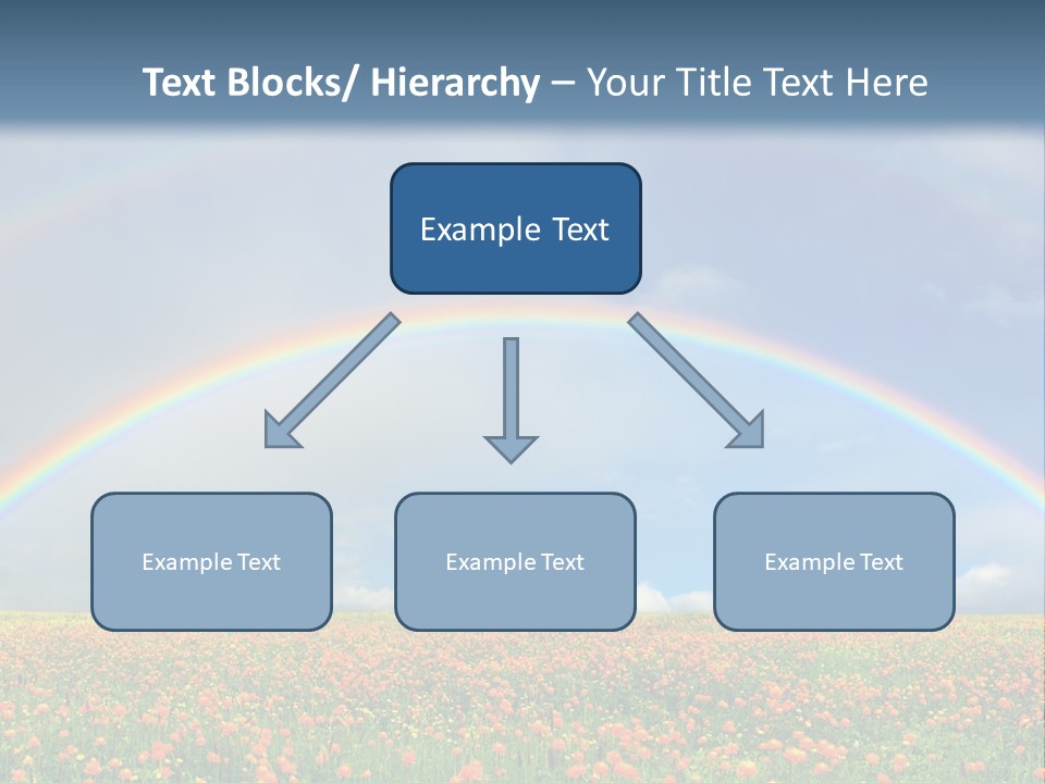 A Rainbow In The Sky Over A Field Of Flowers PowerPoint Template