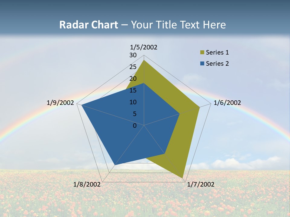 A Rainbow In The Sky Over A Field Of Flowers PowerPoint Template