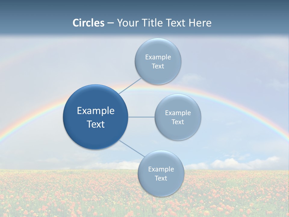 A Rainbow In The Sky Over A Field Of Flowers PowerPoint Template