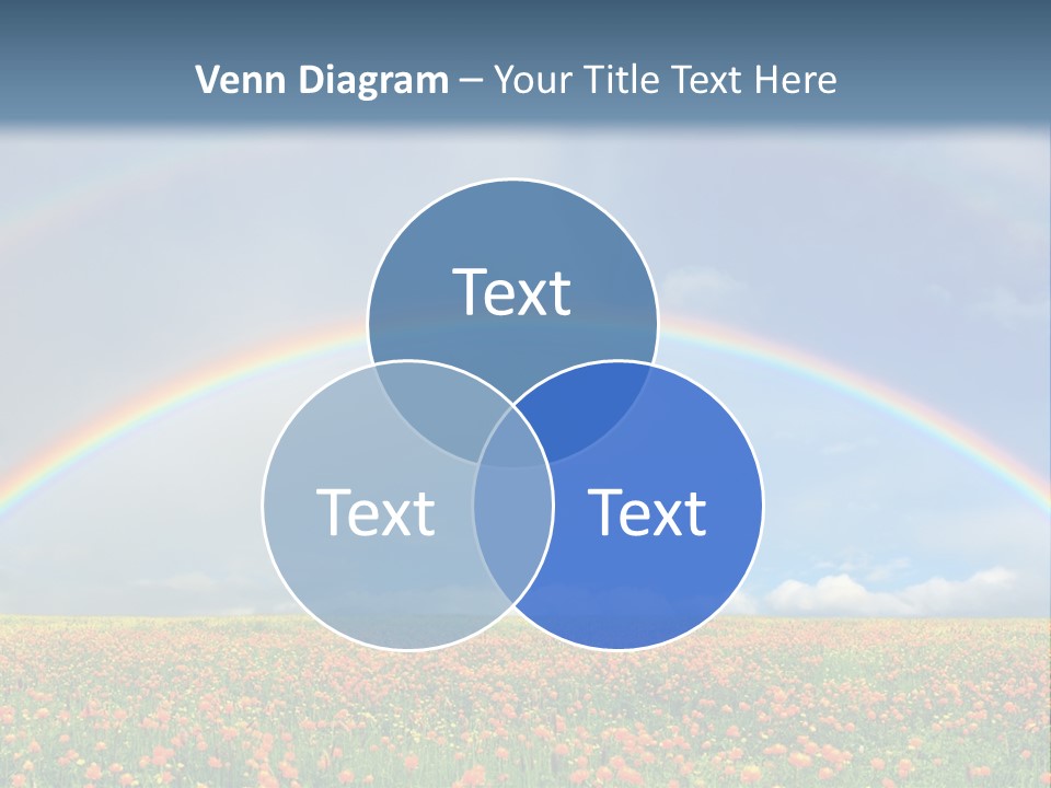 A Rainbow In The Sky Over A Field Of Flowers PowerPoint Template