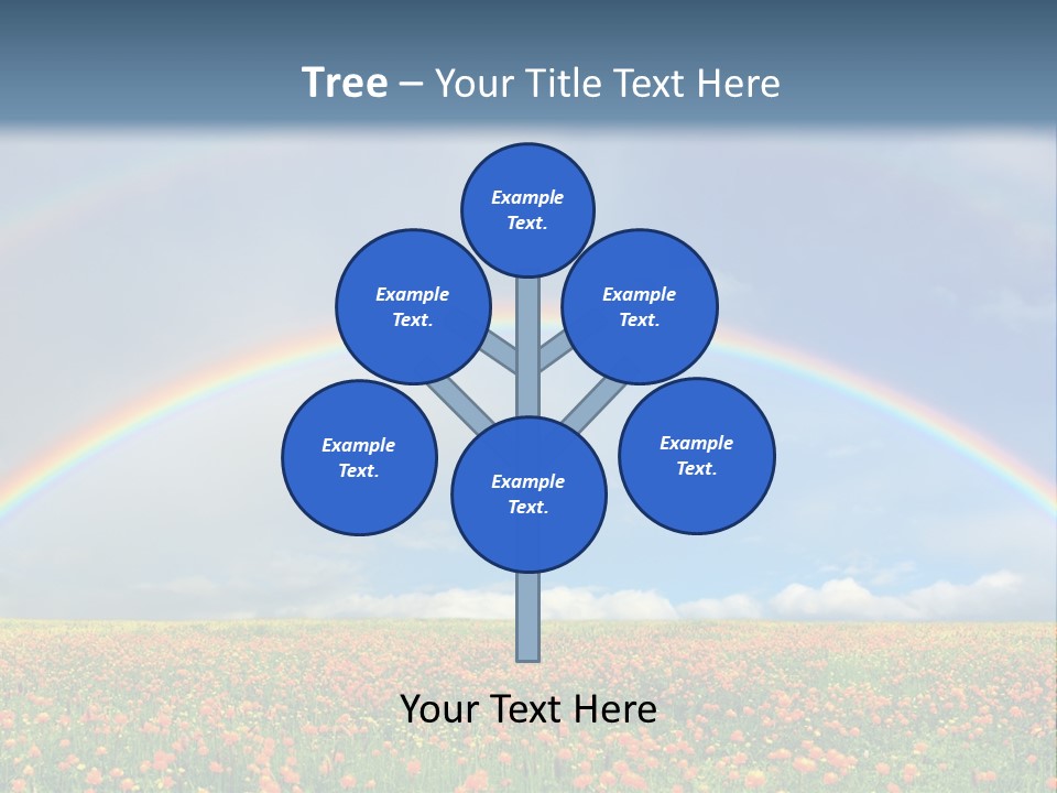 A Rainbow In The Sky Over A Field Of Flowers PowerPoint Template