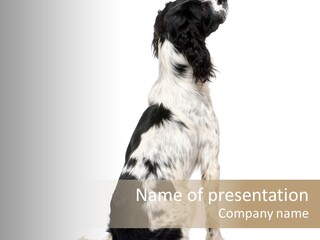 White Hunter Gundog PowerPoint Template