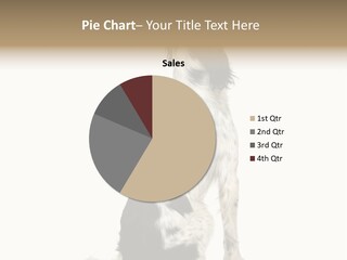 White Hunter Gundog PowerPoint Template