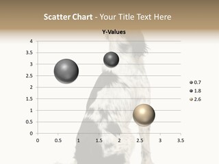 White Hunter Gundog PowerPoint Template