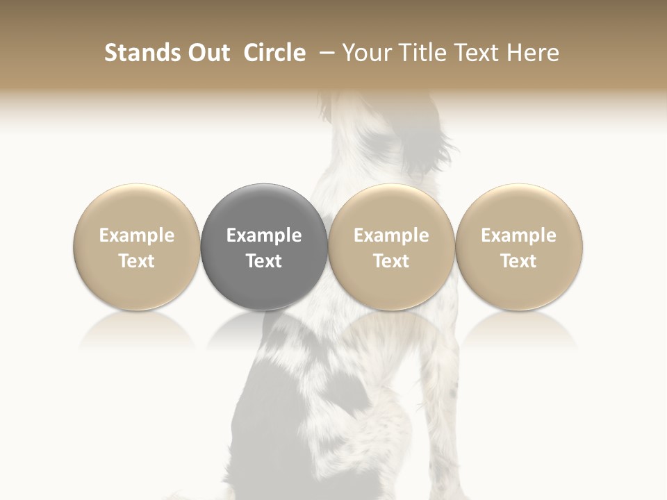 White Hunter Gundog PowerPoint Template