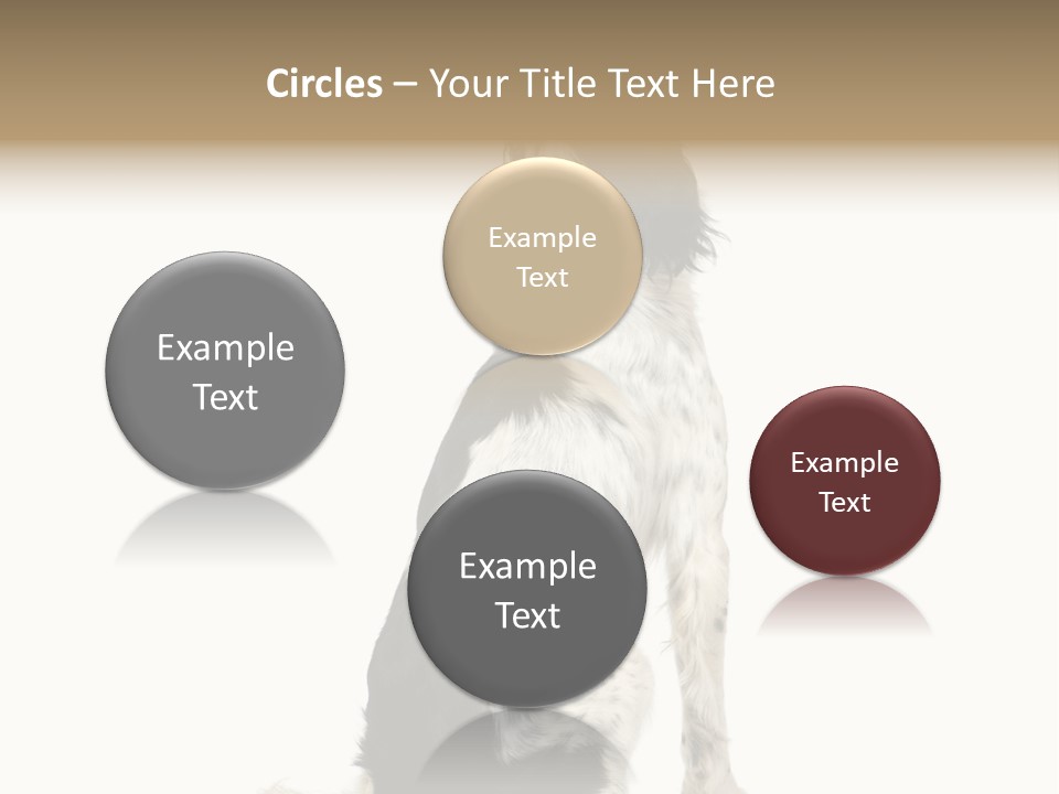 White Hunter Gundog PowerPoint Template