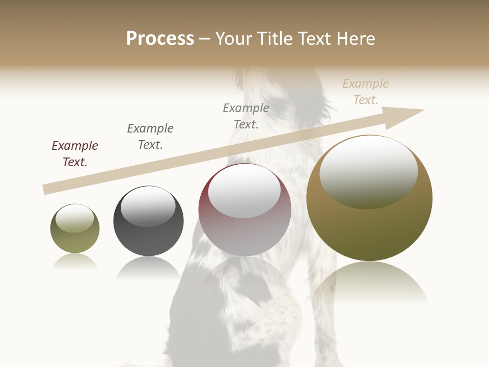 White Hunter Gundog PowerPoint Template