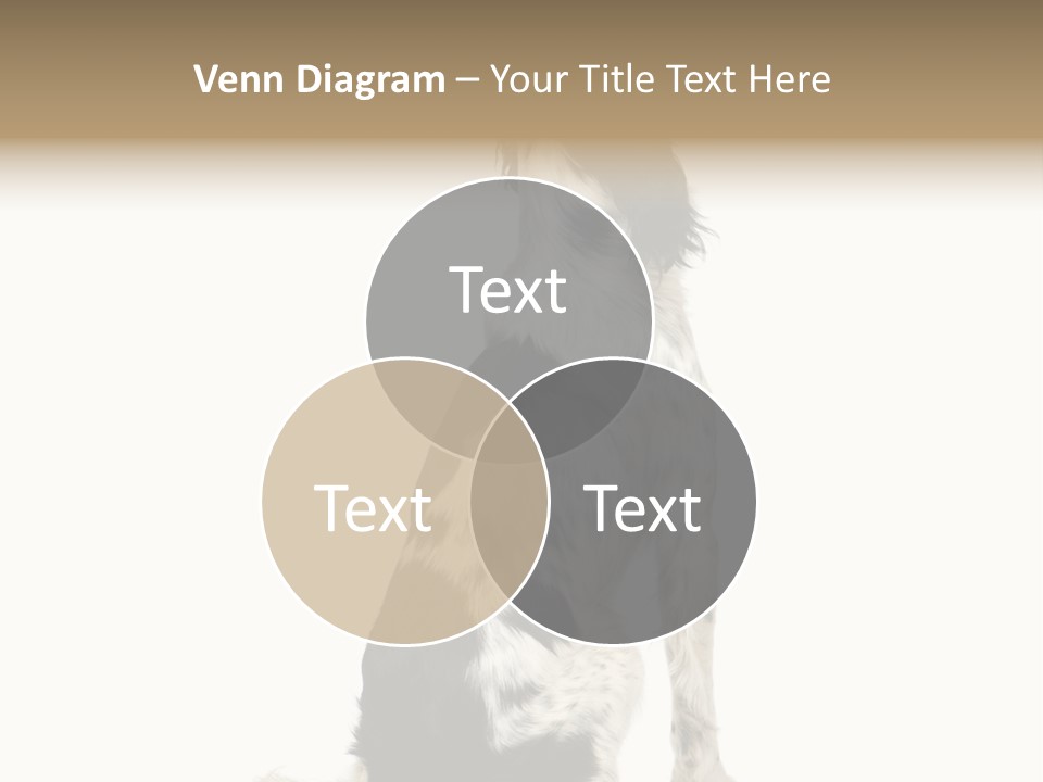 White Hunter Gundog PowerPoint Template